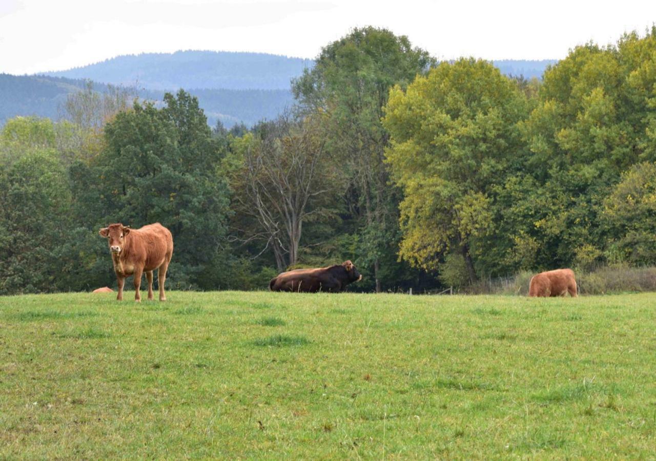Ferienhaus Vulkaneifel Kopp Extérieur photo