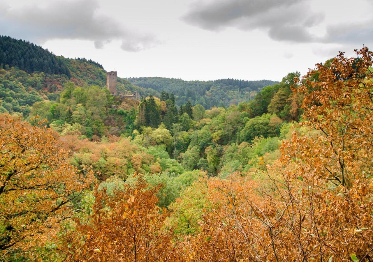 Ferienhaus Vulkaneifel Kopp Extérieur photo